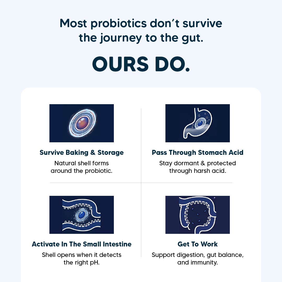 Sara's Daily Probiotic Chews: Gut & Digestive Support - 70 g