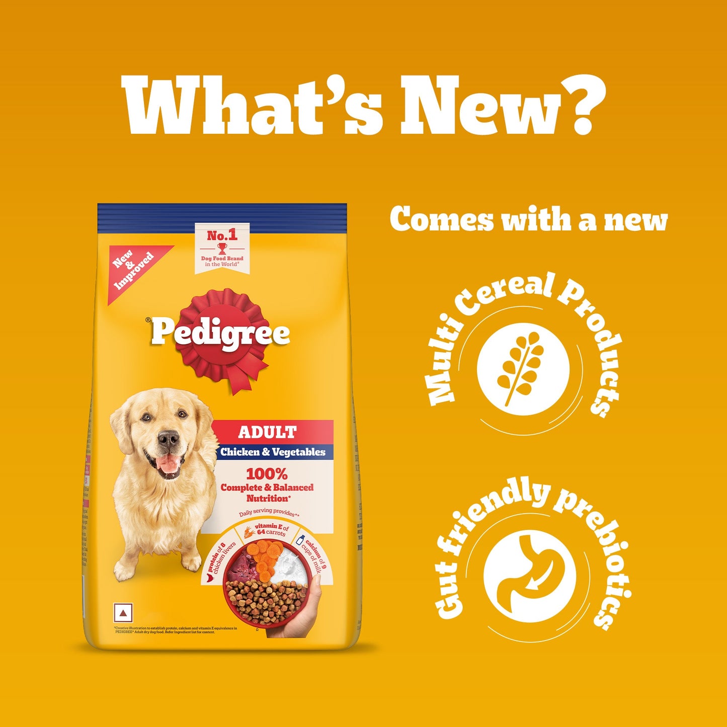 Pedigree Chicken & Vegetables Dry Food For Adult Dog