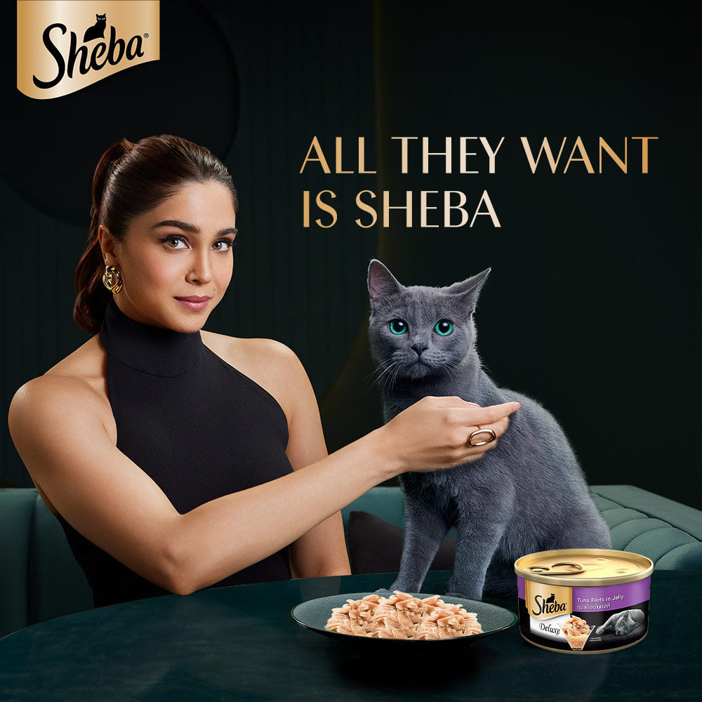 Sheba Deluxe Premium (1+ Years) Tuna Fillets in Jelly Adult Wet Cat Food - 85 g - Pack - Heads Up For Tails