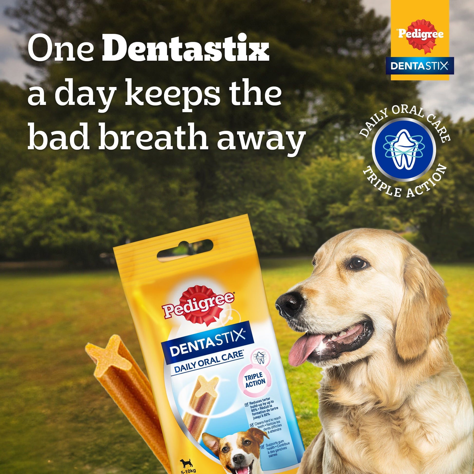 Pedigree Dentastix Dog Treat Weekly Pack For Large Breed - 270 g - Heads Up For Tails