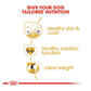 Royal Canin Golden Retriever Puppy Dry Dog Food - Heads Up For Tails