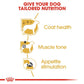 Royal Canin Poodle Dry Food For Adult Dog - 1.5 kg - Heads Up For Tails