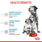 Royal Canin Medium Starter Dry Dog Food - Heads Up For Tails