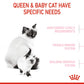 Royal Canin Mother And Babycat Dry Cat Food - Heads Up For Tails