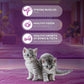 Whiskas Mackerel Flavour Dry Food For (2-12 Months) Kitten - Heads Up For Tails