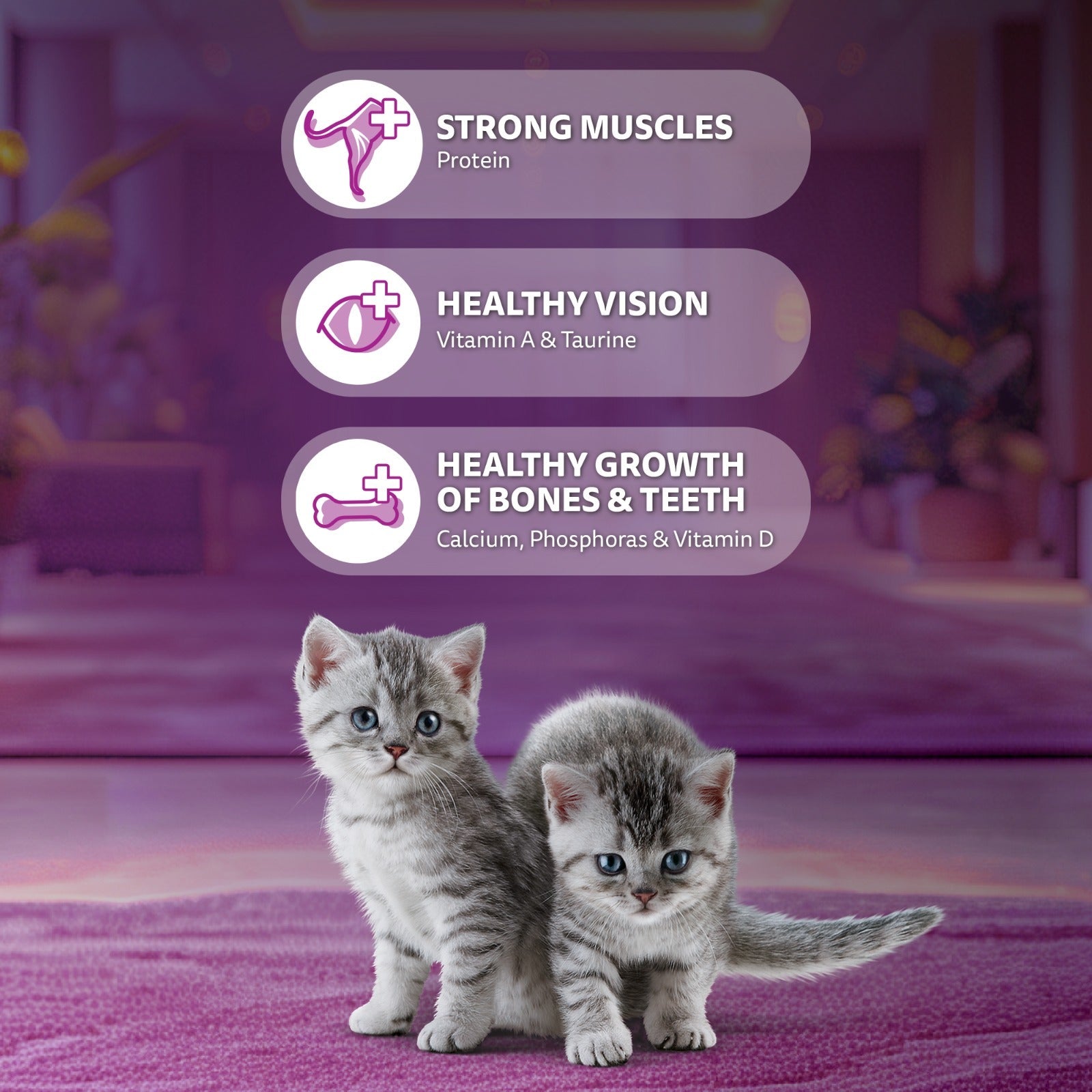 Whiskas Mackerel Flavour Dry Food For (2-12 Months) Kitten - Heads Up For Tails