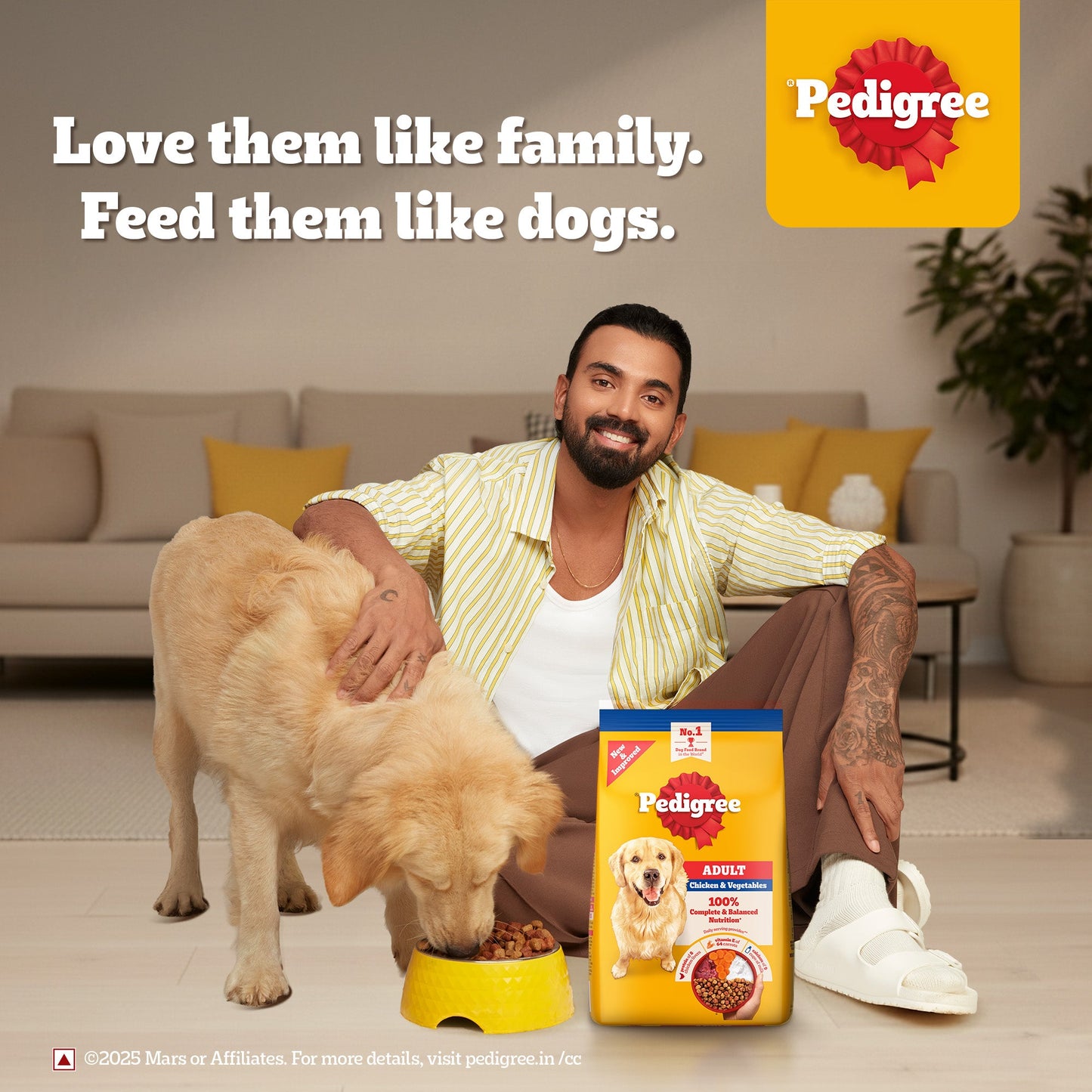 Pedigree Chicken & Vegetables Dry Food For Adult Dog
