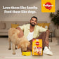 Pedigree Meat & Rice Dry Food For Adult Dog