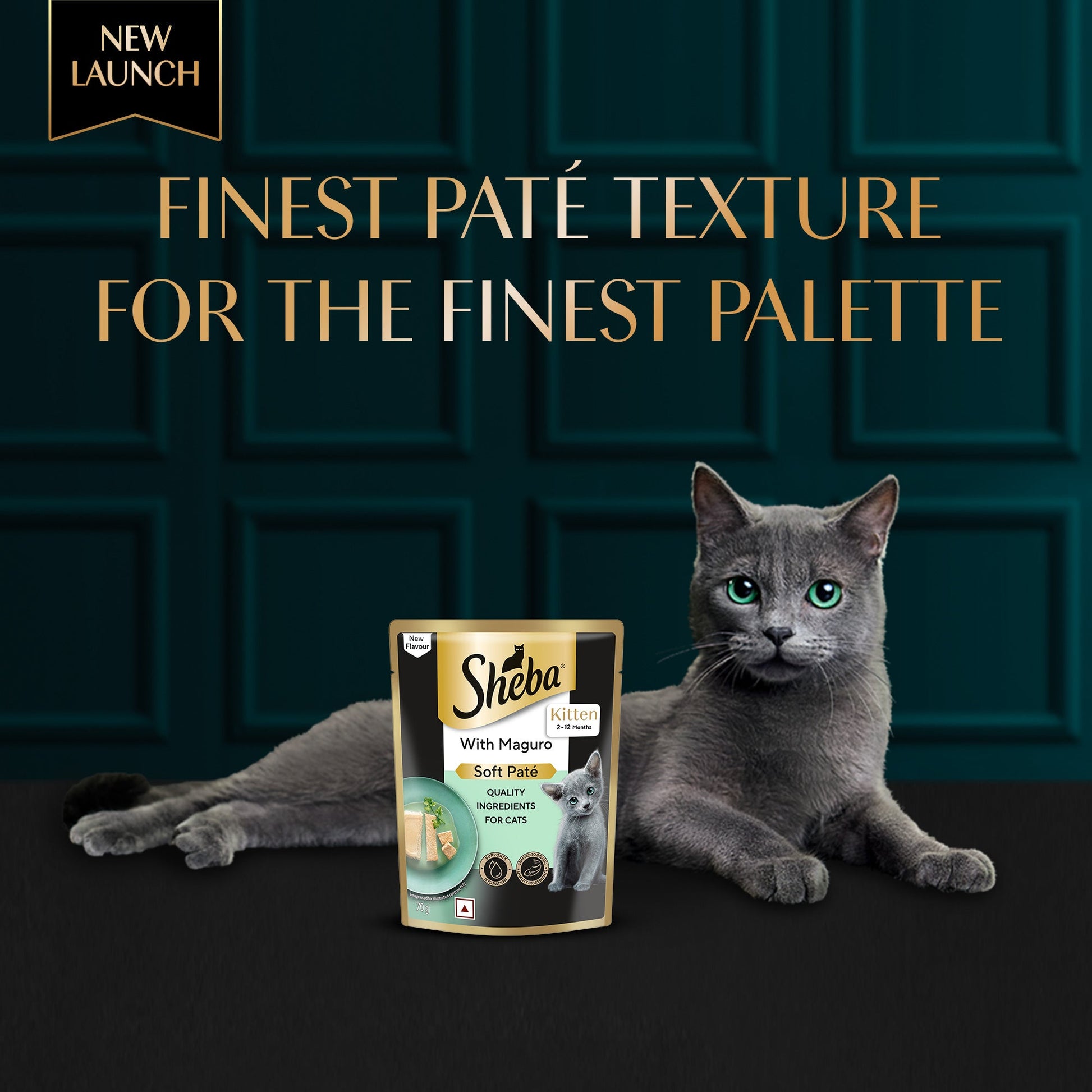 Sheba Maguro Pate Wet Food For Kitten - 70 gm - Heads Up For Tails