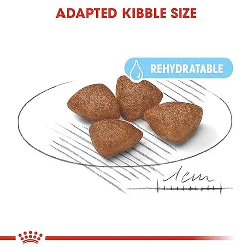 Royal Canin Mini Starter Mother & Puppy Dry Food - Heads Up For Tails