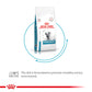 Royal Canin Veterinary Hypoallergenic Dry Food For Cat - 2.5 kg - Heads Up For Tails
