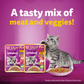 Whiskas Tasty Mix Seafood Cocktail With Carrot In Gravy Wet Food For Junior (2-12 Months) Kitten- 70 gm Pack - Heads Up For Tails