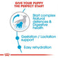 Royal Canin Medium Starter Dry Dog Food - Heads Up For Tails