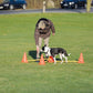 Trixie Dog Agility Obstacles - Pylon and Poles_10