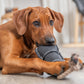 Trixie Be Nordic Bottle On A Rope Dog Toy - Black - 37 cm_03