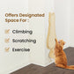Trixie Scratching Board With Catnip Cat Scratcher - Beige - Heads Up For Tails