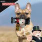 Hasbro Mr. Monopoly With Money Bag Squeak & Crinkle Plush Toy For Dog - Heads Up For Tails