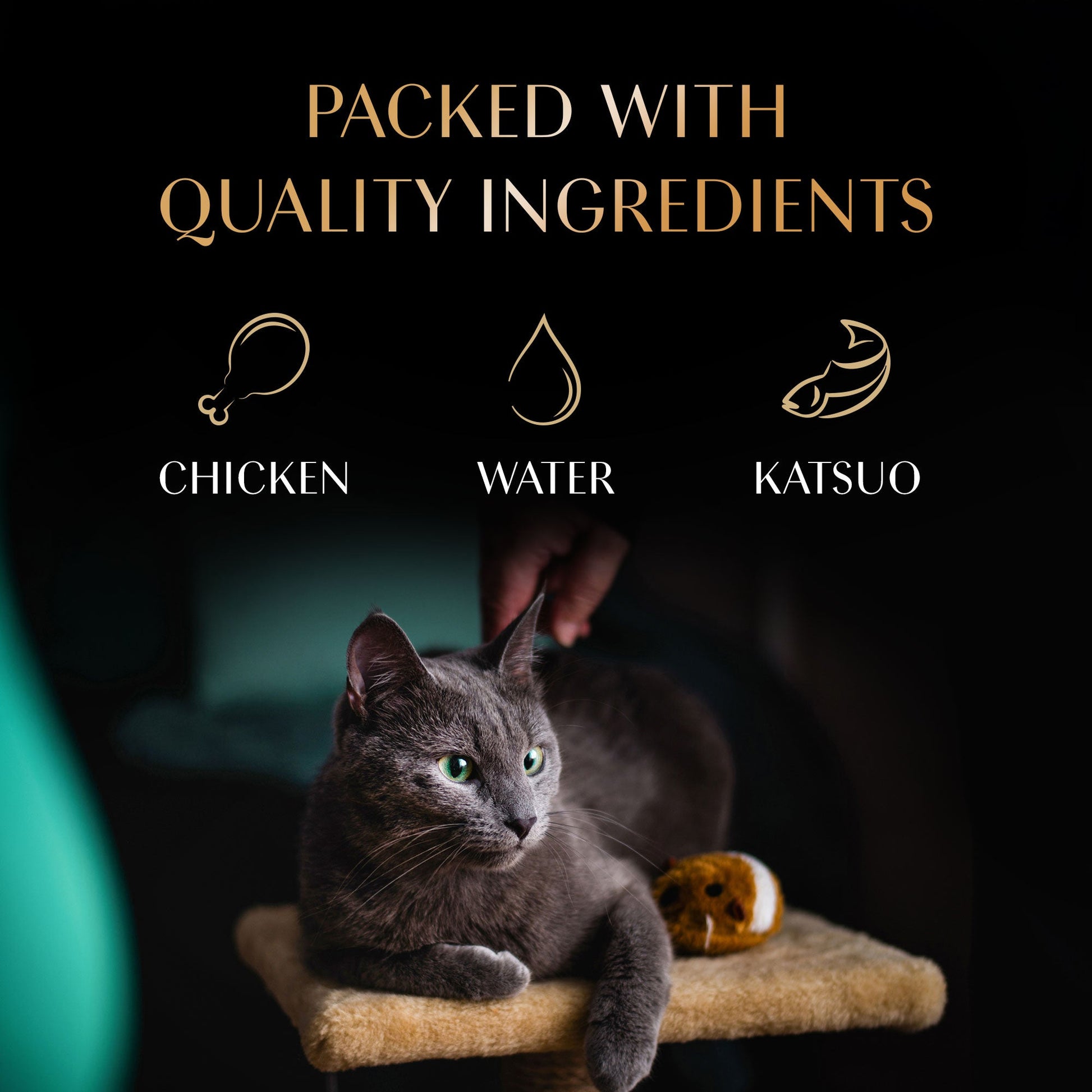 Sheba Melty Maguro Selection Tuna & Tuna & Prawn Flavors Cat Treats - 240 gm (20 x 12gm) - Heads Up For Tails