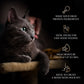 Sheba Melty Maguro Selection Tuna & Tuna & Prawn Flavors Cat Treats - 240 gm (20 x 12gm) - Heads Up For Tails