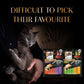 Sheba Melty Sasami Selection Chicken & Chicken & Whitefish Flavors Cat Treats - 240 gm (20 x 12gm) - Heads Up For Tails