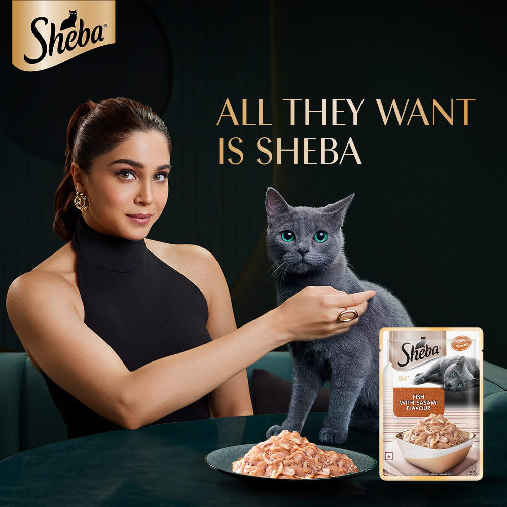 Sheba Premium Fish Sasami In Gravy Wet Cat Food - (12 x 35gm) - Heads Up For Tails