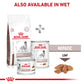 Royal Canin Hepatic Veterinary Diet Dry Food For Dog - 1.5 Kg - Heads Up For Tails