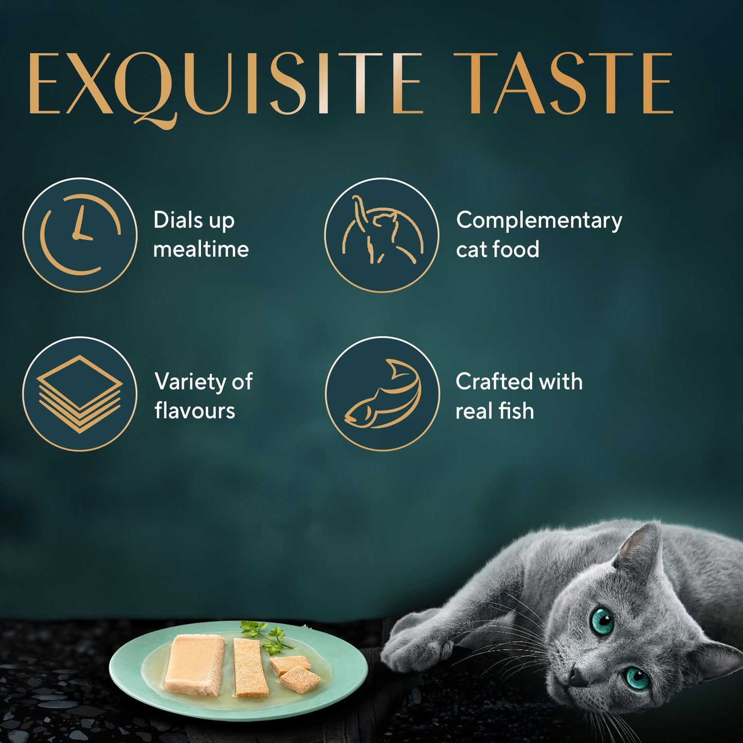 Sheba Chicken Premium Loaf Wet Kitten Food - 70 gm Packs