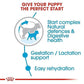 Royal Canin Mini Starter Mother & Puppy Dry Food - Heads Up For Tails