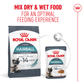 Royal Canin Hairball Care Dry Cat Food - Heads Up For Tails
