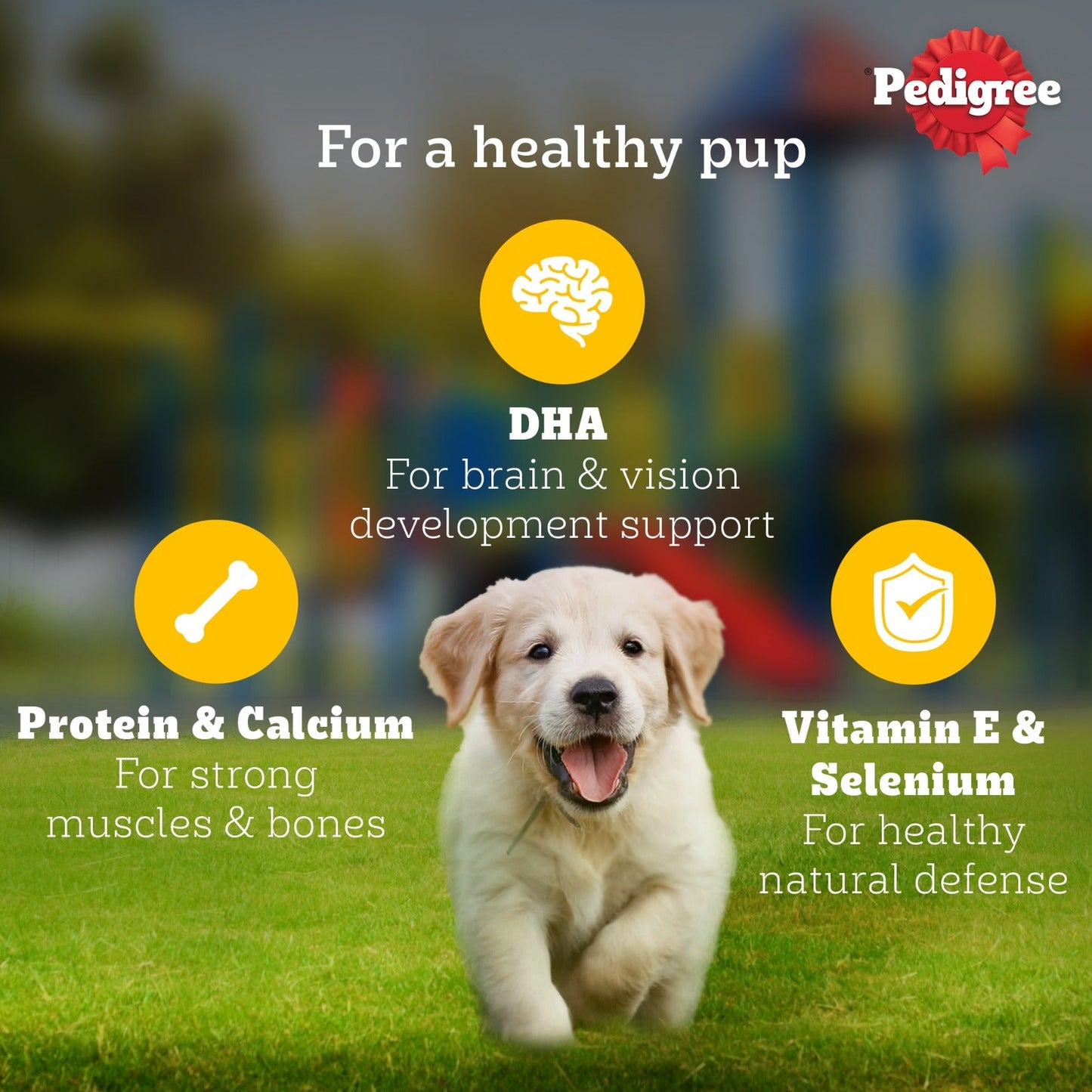 Pedigree Chicken & Liver Chunks In Gravy Puppy Wet Food - 130 g - Heads Up For Tails
