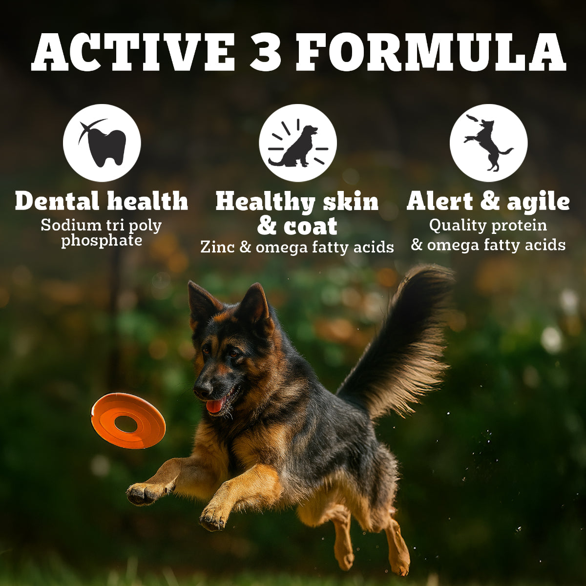 Pedigree PRO Expert Nutrition Active Adult Dry Dog Food - Heads Up For Tails