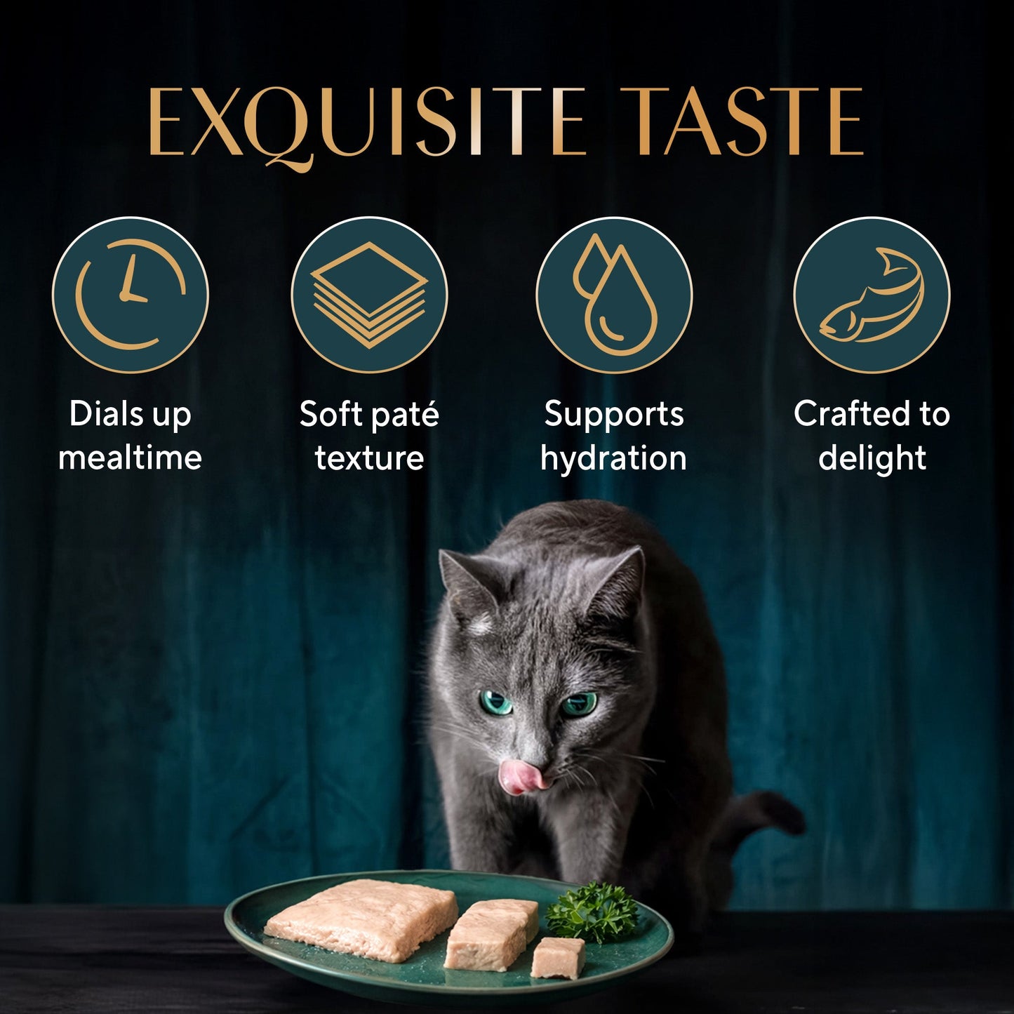 Sheba Katsuo Pate Wet Food For Adult Cat - 70 gm - Heads Up For Tails
