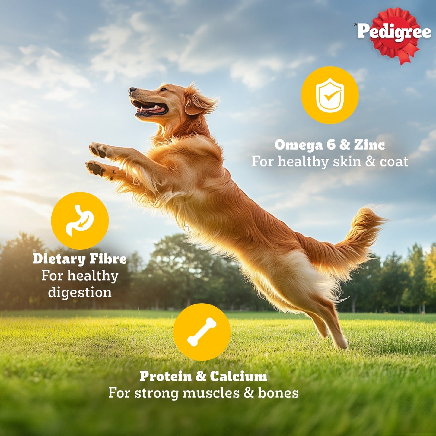 Pedigree Chicken & Liver Chunks In Gravy Adult Dog Wet Food - 130 g - Heads Up For Tails