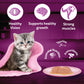 Whiskas Mackerel In Jelly Wet Food For Junior (2-12 Months) Kitten - 80 gm Pack - Heads Up For Tails