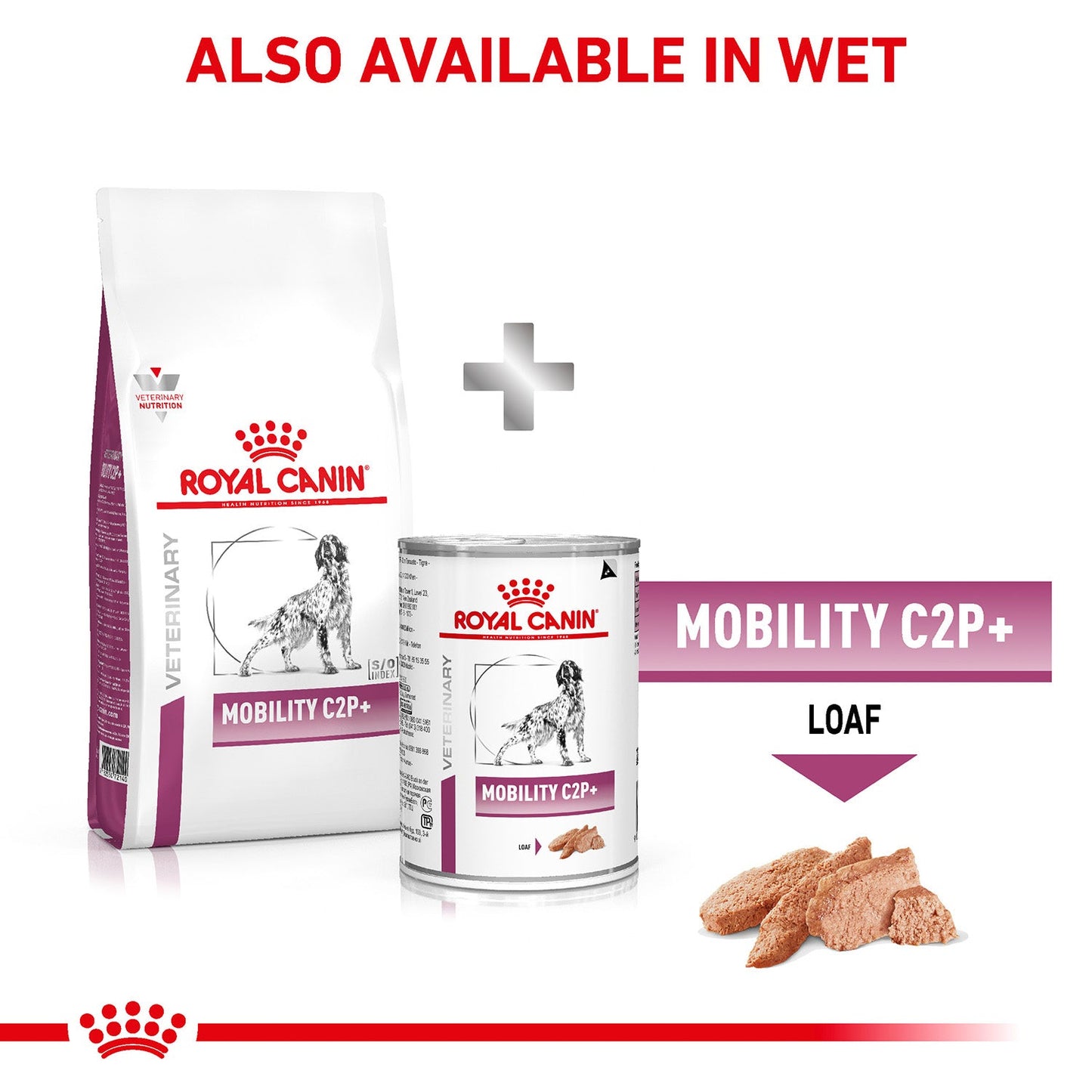 Royal Canin Veterinary Diet Mobility C2P+ Dry Food For Adult Dog - Heads Up For Tails