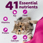Whiskas Ocean Fish Dry Food For Kitten (2-12 Months) - Heads Up For Tails