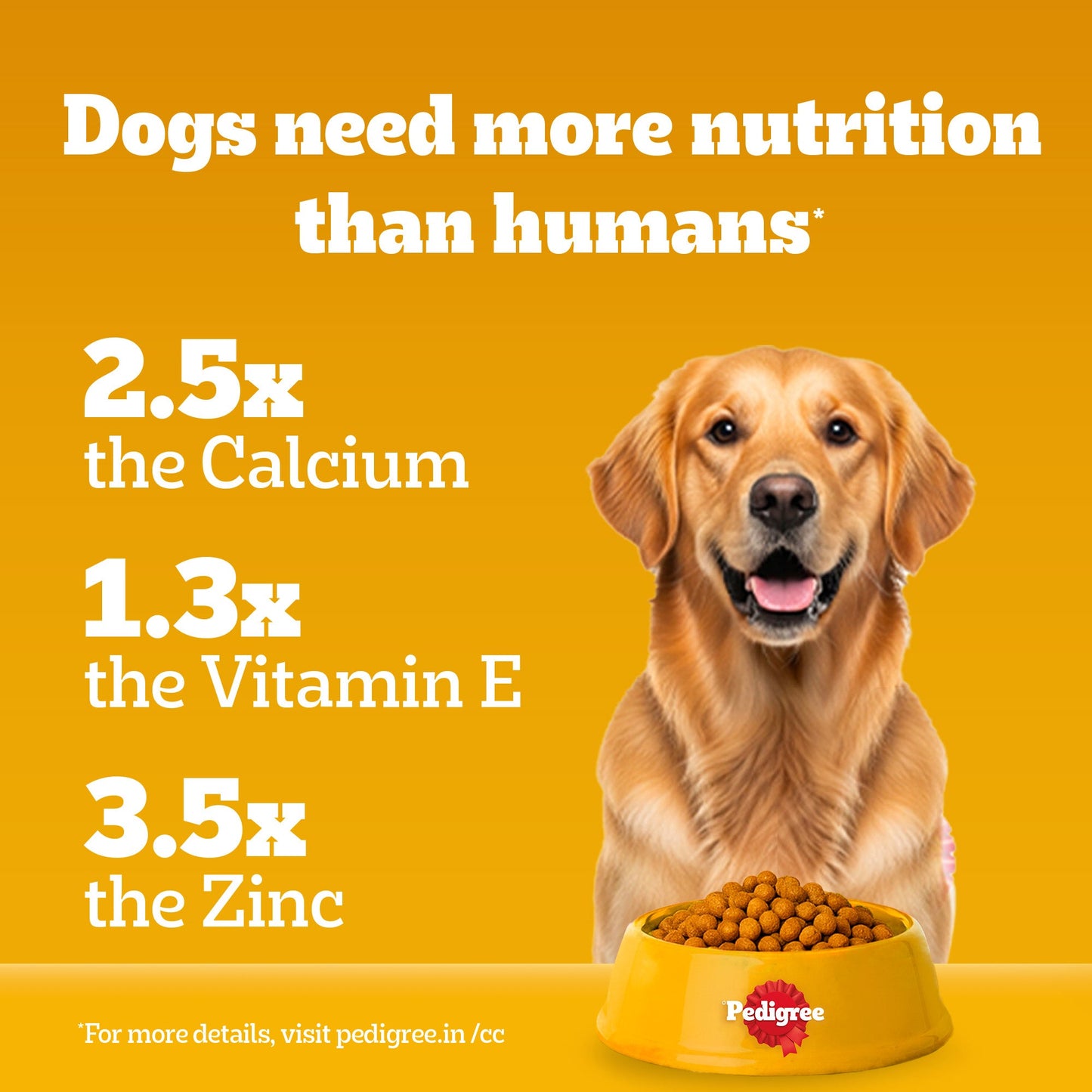 Pedigree Meat & Rice Dry Food For Adult Dog