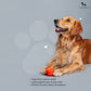 HUFT Quintessential Tennis Dog Ball (Set of 2) - Heads Up For Tails