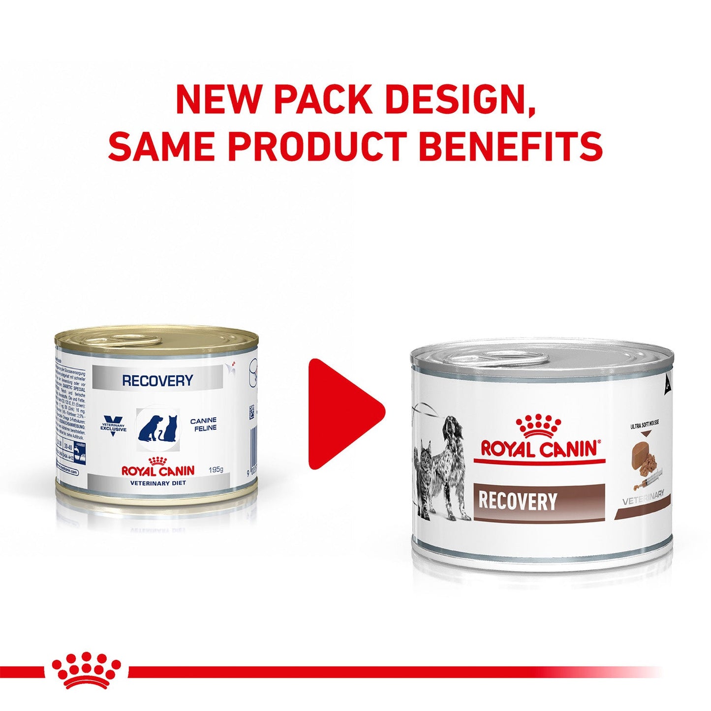 Royal Canin Veterinary Diet Recovery Canines & Felines Wet Food For Dog & Cat - 195 g - Heads Up For Tails