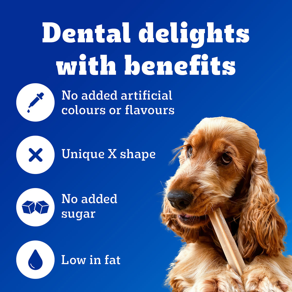 Pedigree Dentastix Dog Treat Weekly Pack For Large Breed - 270 g - Heads Up For Tails