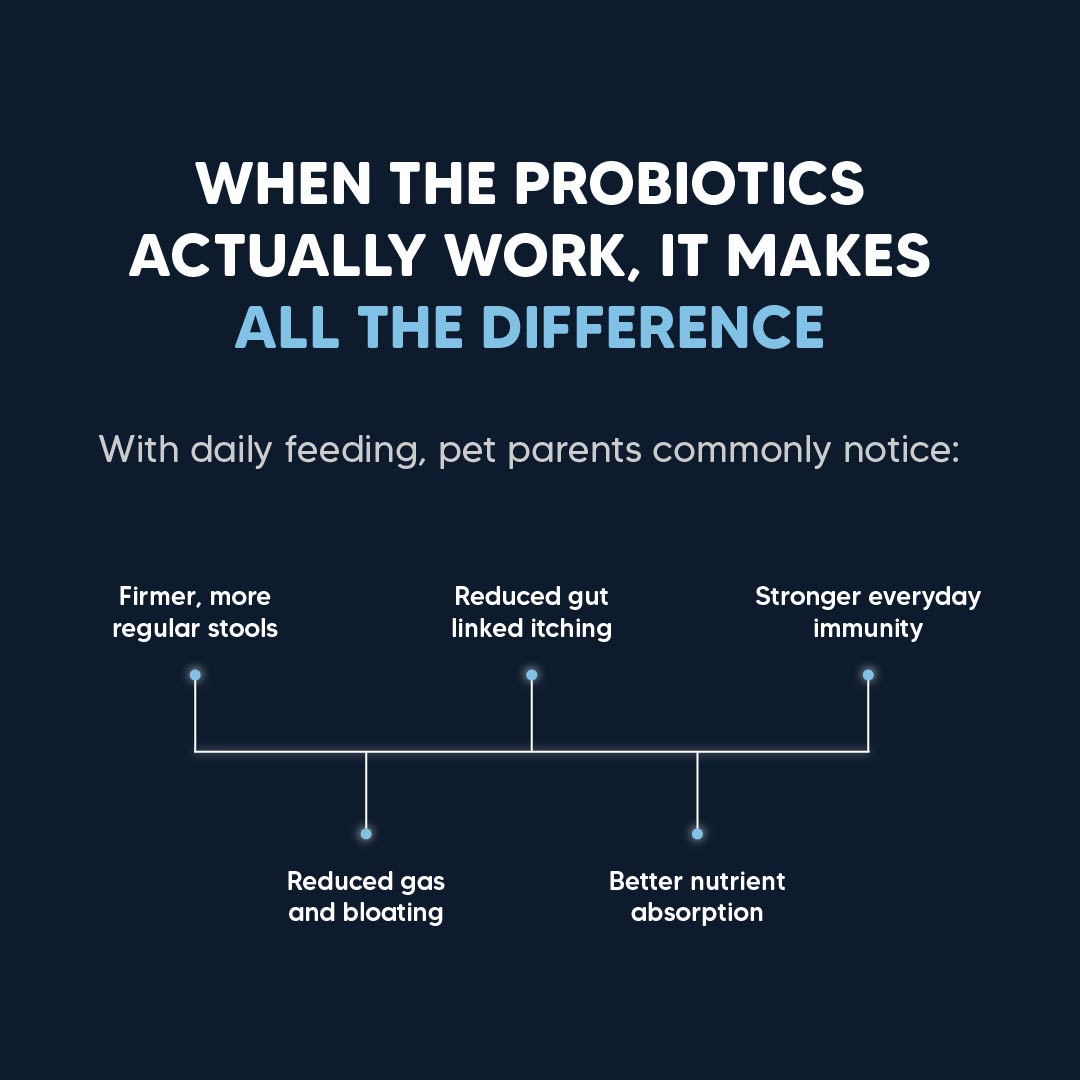 Sara's Daily Probiotic Chews: Gut & Digestive Support - 70 g