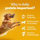 Pedigree Chicken & Liver Chunks in Gravy Adult Wet Dog Food - 70 g packs - Heads Up For Tails