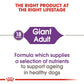 Royal Canin Giant Adult Dry Dog Food - Heads Up For Tails
