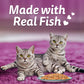 Whiskas Tasty Mix Wet Food Made With Real Fish (Seafood Cocktail & Wakame Seaweed) in Gravy For Adult (1+ year) Cat - 70 gm Pack - Heads Up For Tails