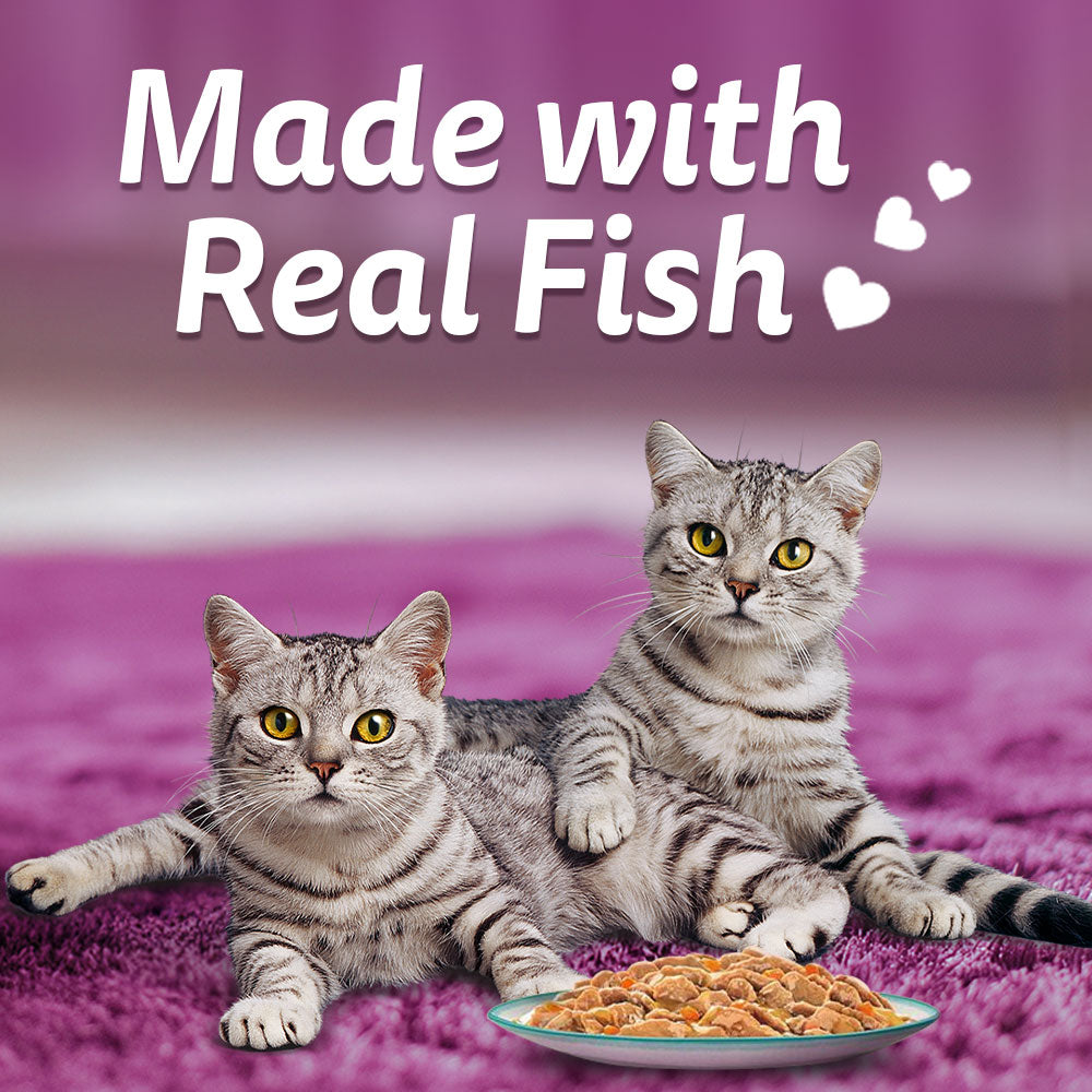 Whiskas Tasty Mix Wet Food Made With Real Fish (Seafood Cocktail & Wakame Seaweed) in Gravy For Adult (1+ year) Cat - 70 gm Pack - Heads Up For Tails