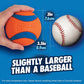 Chuckit! Ultra Ball Dog Toy - Orange & Blue_08