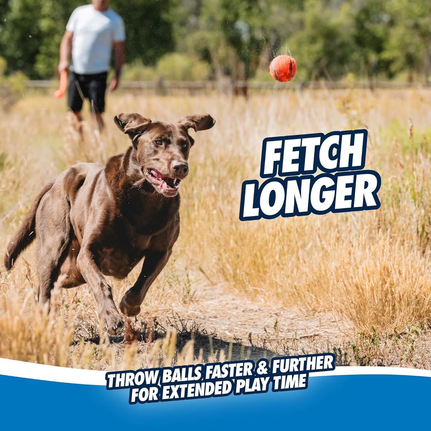 Chuckit! Sport Ball Launcher Fetch Toy For Dog - Assorted - Heads Up For Tails