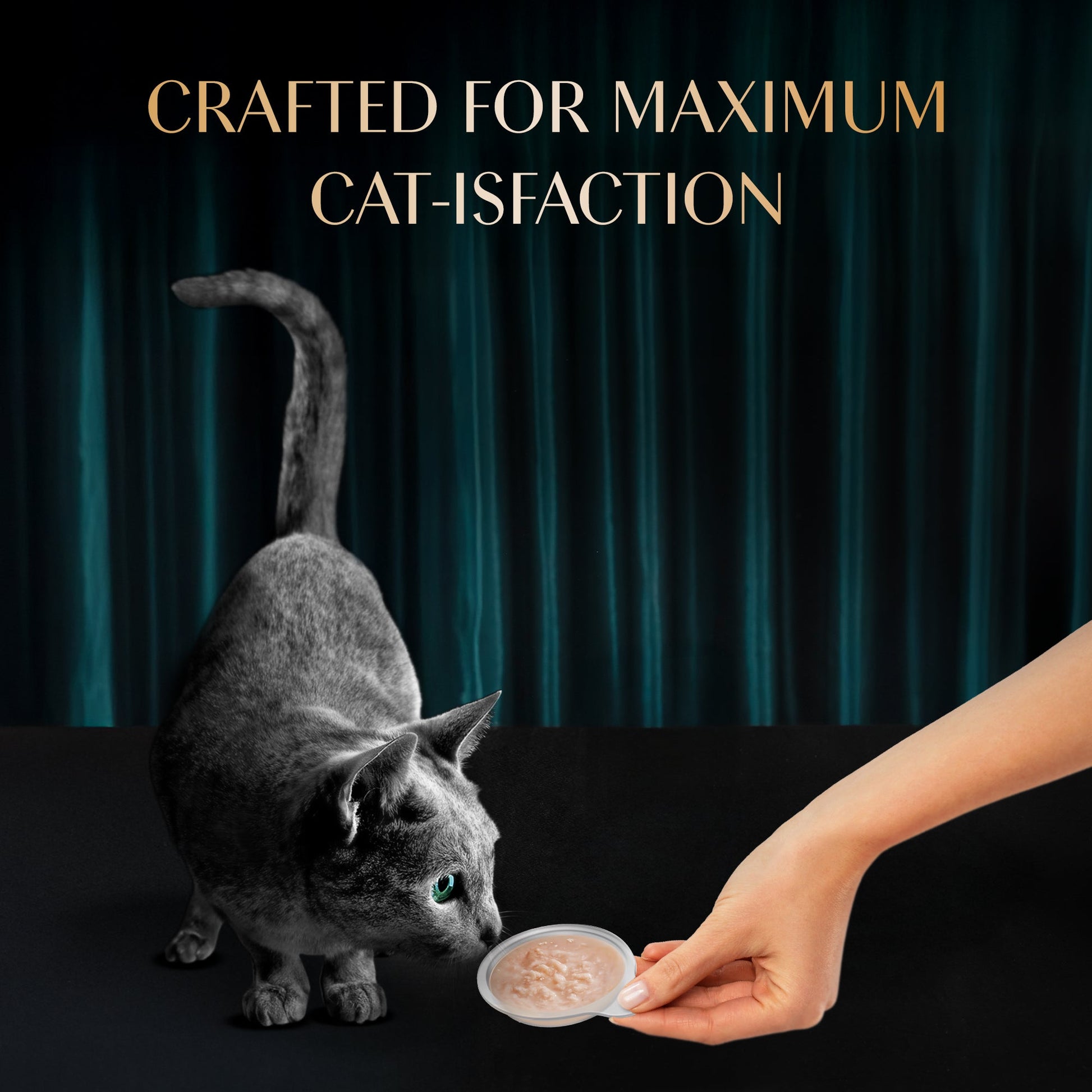 Sheba Melty Spoons Creamy Chicken & Chicken Shreds Treat For Cat - 40 gm Packs - Heads Up For Tails