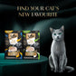 Sheba Melty Spoons Creamy Chicken & Chicken Shreds Treat For Cat - 40 gm Packs - Heads Up For Tails