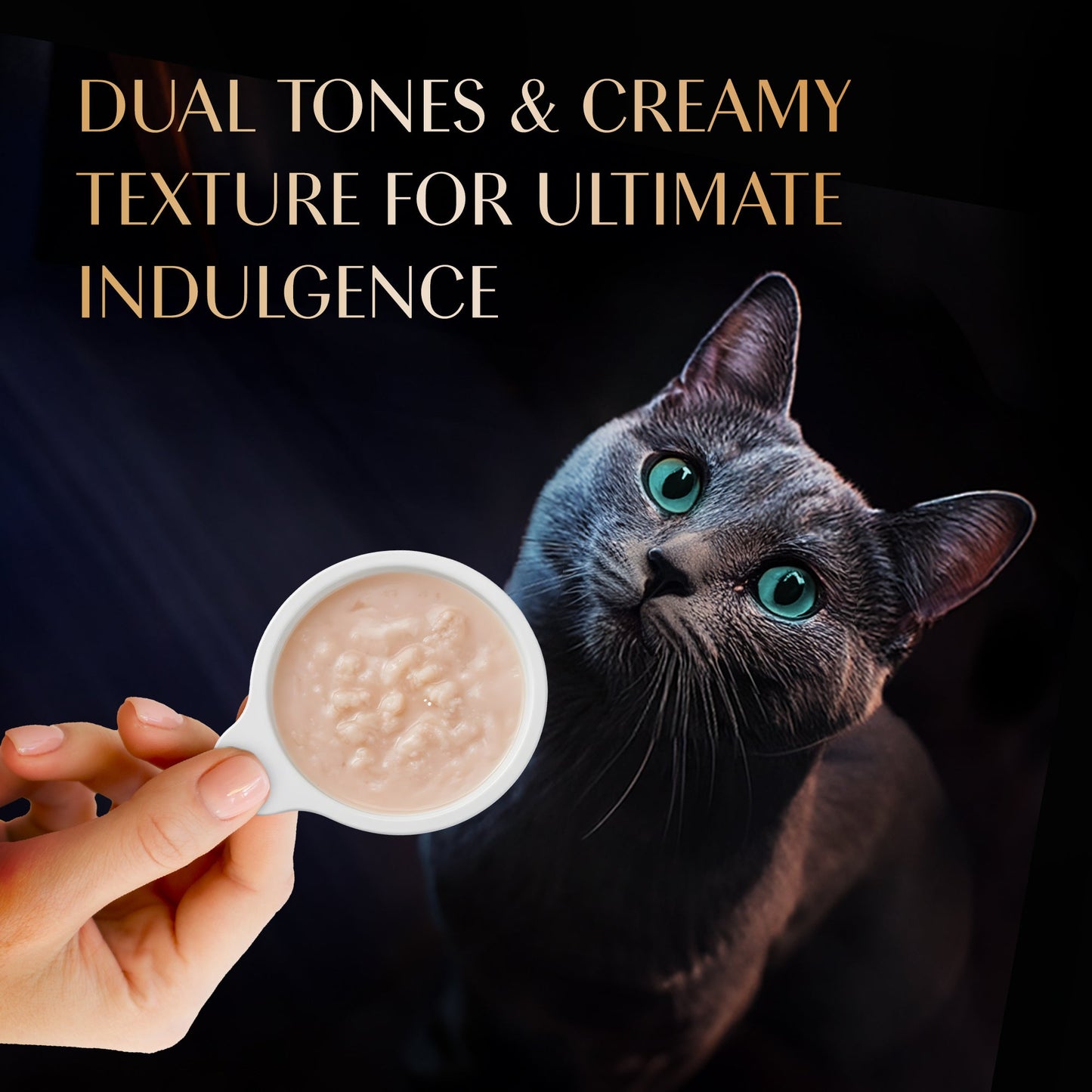 Sheba Melty Spoons Creamy Chicken & Chicken Shreds Treat For Cat - 40 gm Packs - Heads Up For Tails